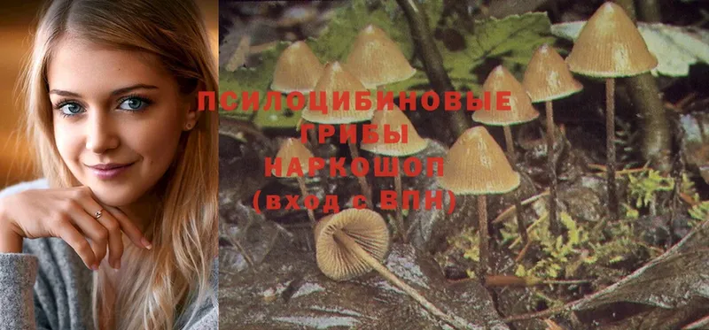 Галлюциногенные грибы MAGIC MUSHROOMS  купить наркоту  Энем 